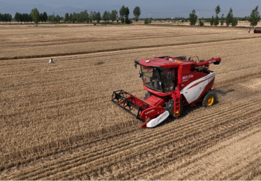 三夏深度观察（一）:潍柴雷沃“智领”三夏“新速度”