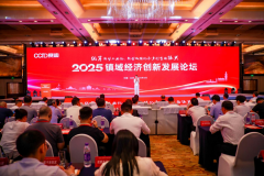 2025镇域经济创新发展论坛在京举办