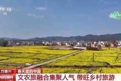 春色花海醉游人 科技助力农业生产提质增效