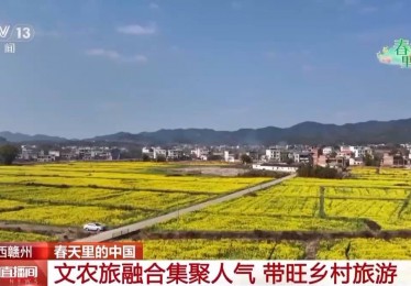 春色花海醉游人 科技助力农业生产提质增效