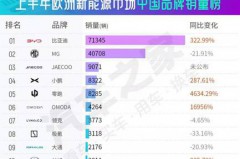 重大突破！比亚迪引领欧洲新能源市场