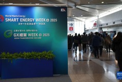 日本“智慧能源周”展示最新可再生能源技术